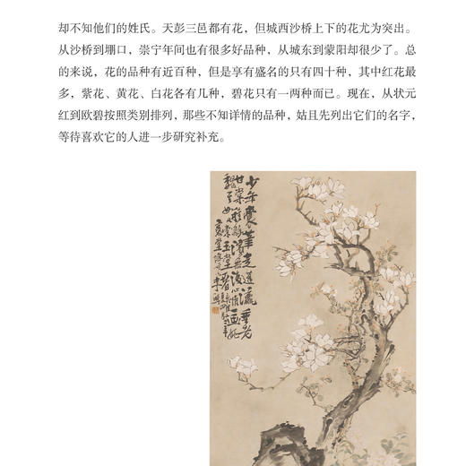 《宋人花谱九种》 商品图7