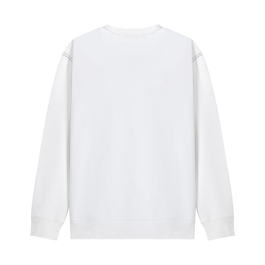 【断码清仓】HX 冬季圆领卫衣S106340202101/02 商品图5