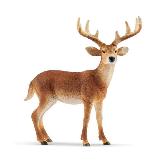 思乐 白尾鹿SCHC14818 商品图0