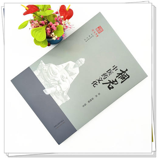 桐君中医药文化 郑洪 徐晓聪 编著 《浙派中医丛书》品牌系列 中国中医药出版社 商品图2