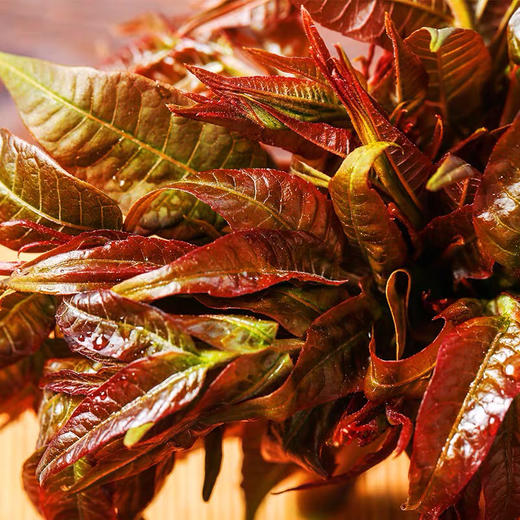 【社区团购】【春菜】香椿100g 商品图4