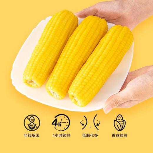 🌹🌽田里有草甜糯玉米，被誉为“玉米界的爱马仕”，口感丰富有层次，软糯交错。耗时两年选定非转基因良种，集色、香、甜、糯于一身，浓浓的自然玉米香，儿时的记忆，妈妈的味道😍是普通玉米无法复制的 商品图5