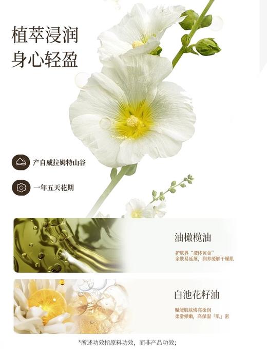 润培 馥奇香氛植物精粹身体乳250ml 商品图3