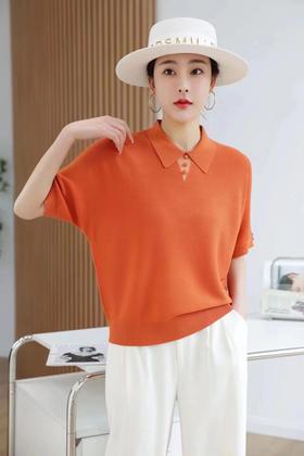 女天丝反领针织T918