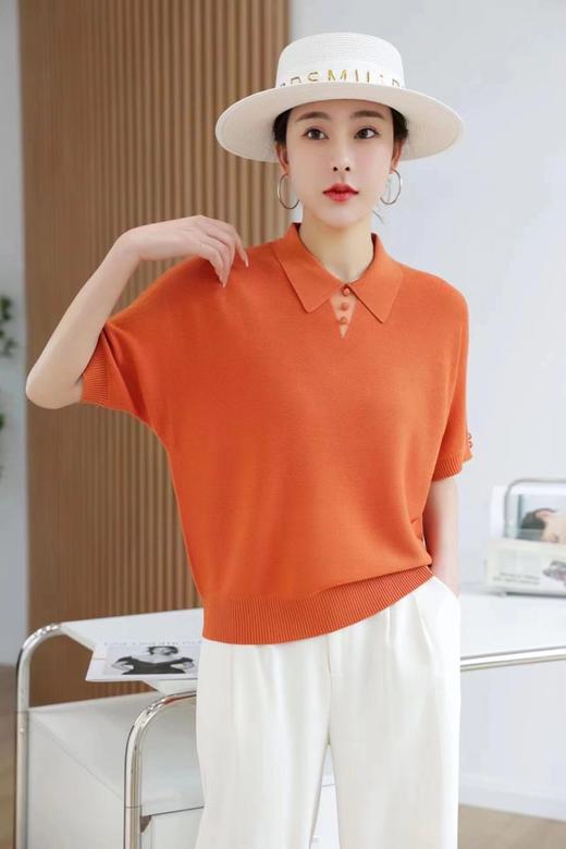 女天丝反领针织T918 商品图0