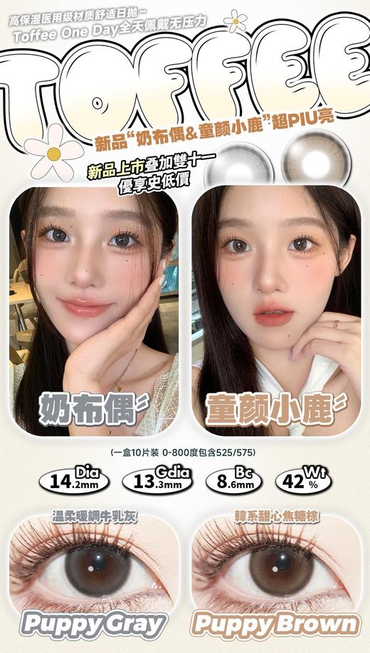 Toffee 童颜小鹿/奶布偶 10片/盒（日抛型） 商品图1