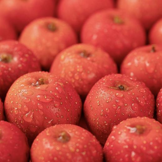 山楂果酸奶｜草原益生菌｜低脂300g 商品图1