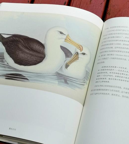 《鸟的魔力：一部绚烂的鸟类文化史》，大16开精装，[英]西莉亚.费希尔著，北京联合出版公司2019年版，定价108，售价35. 商品图12