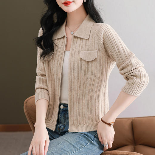 CC101-86162-2024春秋穿搭针织开衫女士减龄宽松拉链毛衣外套小个子新款短上衣 商品图1