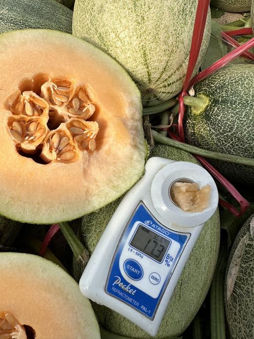 海南高甜哈密瓜！【海沙蜜瓜】肉厚细质 香甜清脆 皮薄肉厚 汁水丰富 一口爽脆 层次丰富 商品图2