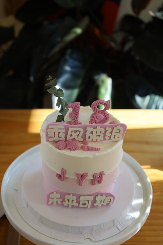 乘风破浪的18岁 商品图2