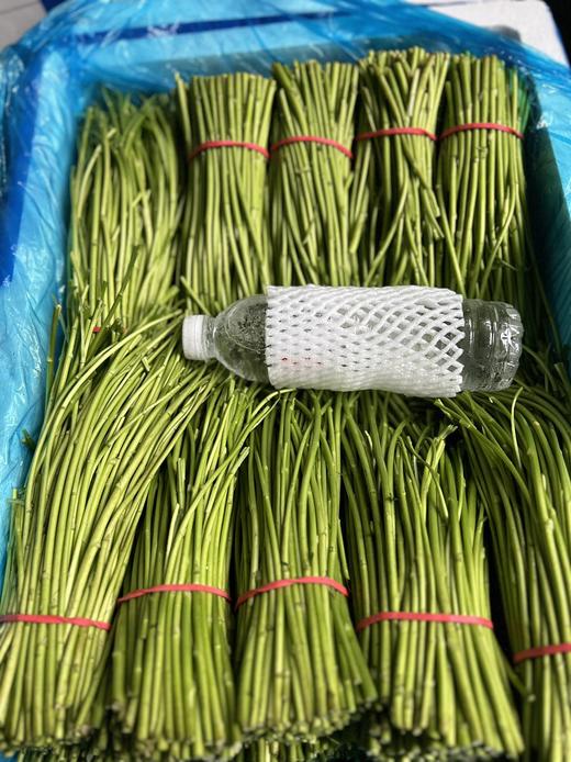 周五取货：【新鲜芦蒿】一袋400克左右，澈骨粉嫩，新鲜健康安全，不带叶子！ 商品图9