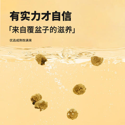 【正宗同仁堂品牌】北京同仁堂 覆盆子200克 泡茶泡酒 成熟饱满 干净少尘SY 商品图1