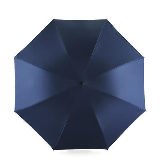 大迈手开晴雨伞-蓝色 商品图4