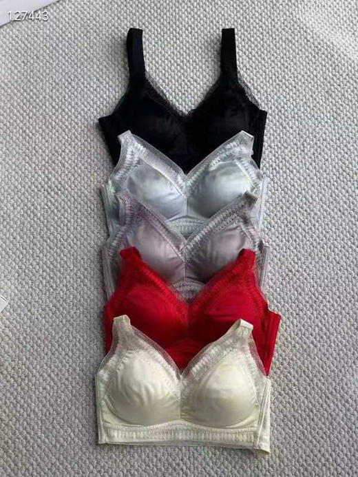 出口原单内衣Laperla桑蚕丝缎面蕾丝 商品图2