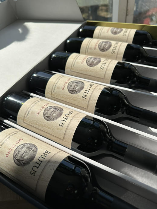 阿根廷原瓶进口 布鲁图斯混酿干红葡萄酒  内购价 商品图2