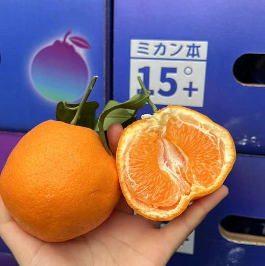 🧐又到一年甜蜜春见时刻🍊——春见耙耙柑一直做顶尖🍊的领头羊口感自然是没的说[色]超完美💯 商品图1