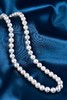 【芳华】淡水Akoya珍珠项链-ZZ240307601 商品缩略图2