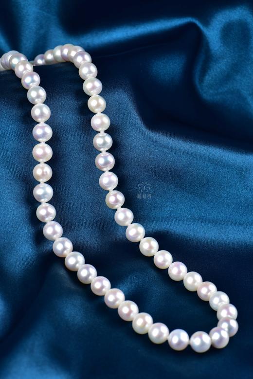 【芳华】淡水Akoya珍珠项链-ZZ240307601 商品图2