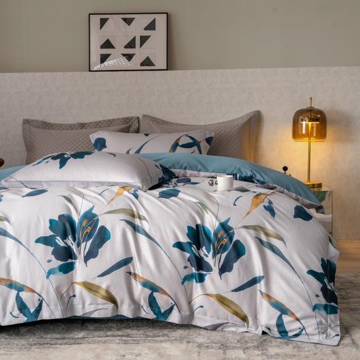 【麦上家居】全棉印花-瑞秋四件套MS 商品图1