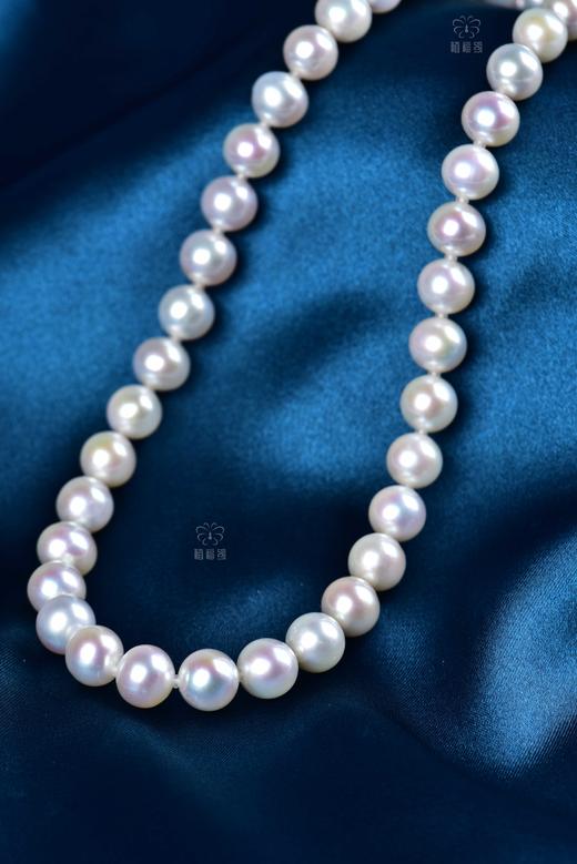 【芳华】淡水Akoya珍珠项链-ZZ240307601 商品图5