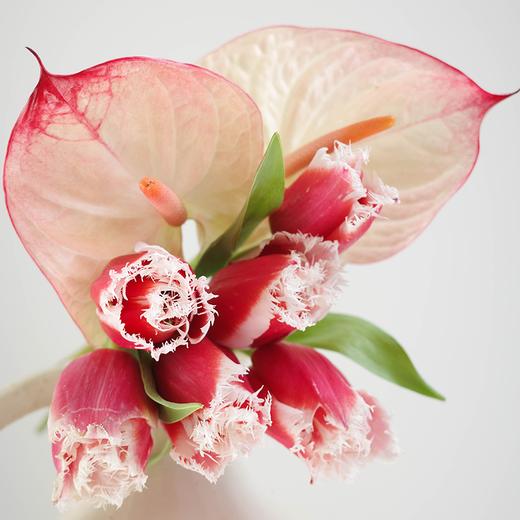 【春日心事Spring Diary】浪漫春汛 Romantic Flood 商品图1