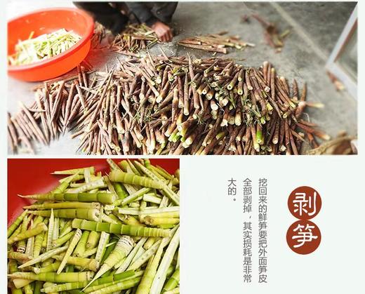 笋尖500g/袋 商品图2