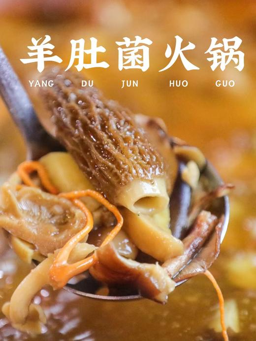 周一取货：【羊肚菌】一盒100克左右，长在草丛里的羊肚菌，鲜香丰腴、脆嫩爽滑！ 商品图1