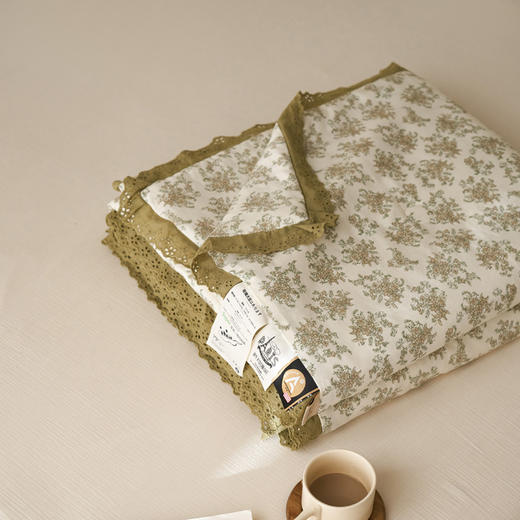 自然醒A类韩式云朵纱大豆夏被花边全棉空调被夏天薄被子可机洗纯棉夏凉被1.5LFS 商品图11