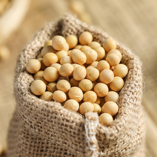 燕之坊 内蒙古呼伦贝尔·黄豆 呼伦贝尔大黄豆1kg 商品图9