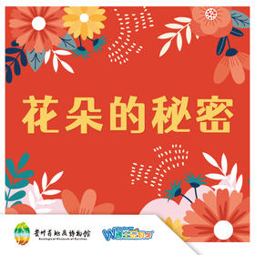 【贵州】《花朵的秘密》