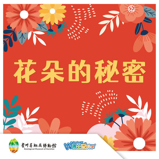 【贵州】《花朵的秘密》 商品图0