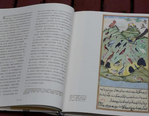 《鸟的魔力：一部绚烂的鸟类文化史》，大16开精装，[英]西莉亚.费希尔著，北京联合出版公司2019年版，定价108，售价35. 商品图8