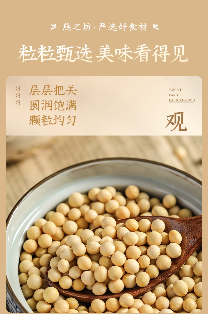 蒙豆26大豆种子简介图片