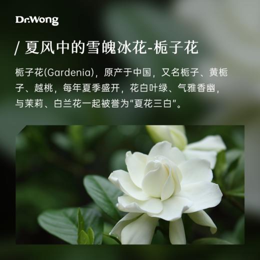 栀子花苞水300ml 商品图1