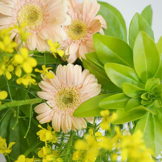 【春日心事Spring Diary】浅桥篱笆 Bridge Fence 商品图1