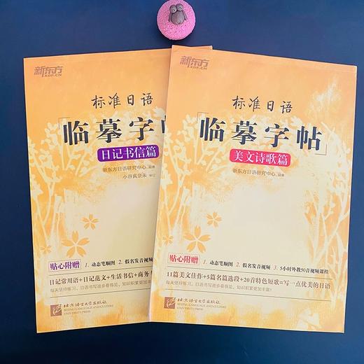 【2册】标准日语临摹字帖：日记书信篇+美文篇 商品图2