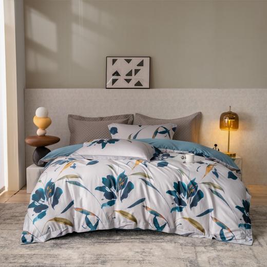 【麦上家居】全棉印花-瑞秋四件套MS 商品图0