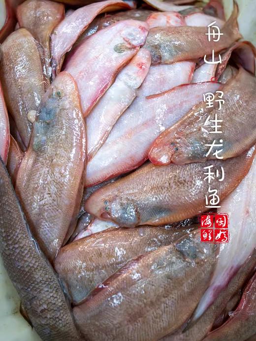 【闹妈海鲜】热气舟山粗鳞玉秃鱼龙利鱼 护眼很赞，小孩子多吃 商品图2