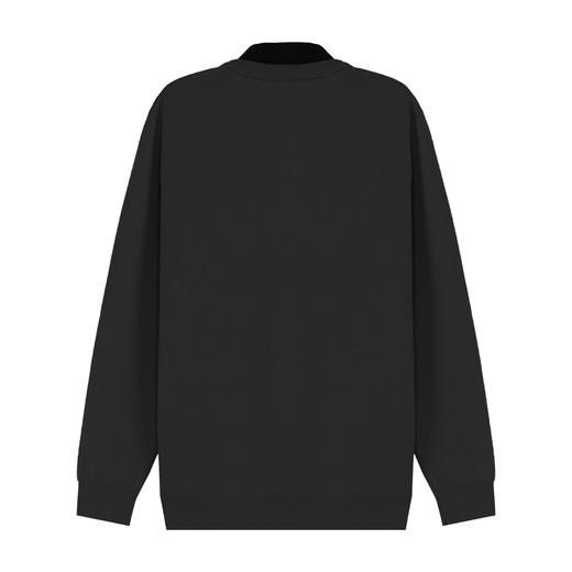 【断码清仓】HXTIDE 冬季衬衣领毛衫S107340099101/02 商品图7