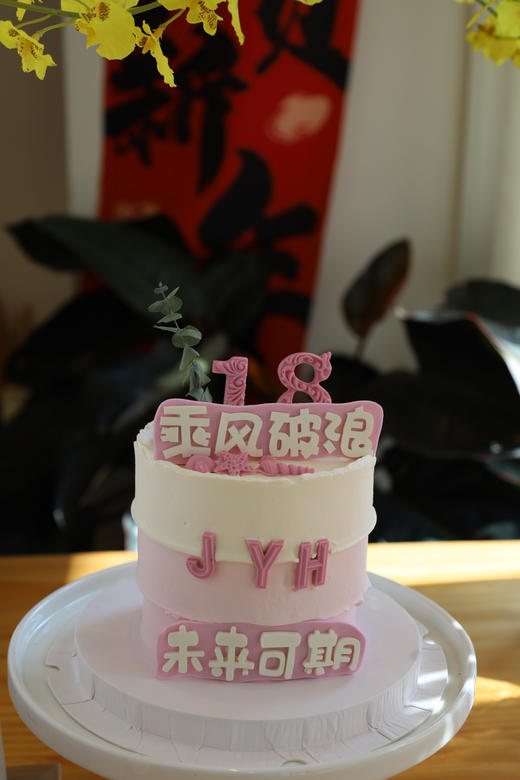 乘风破浪的18岁 商品图1