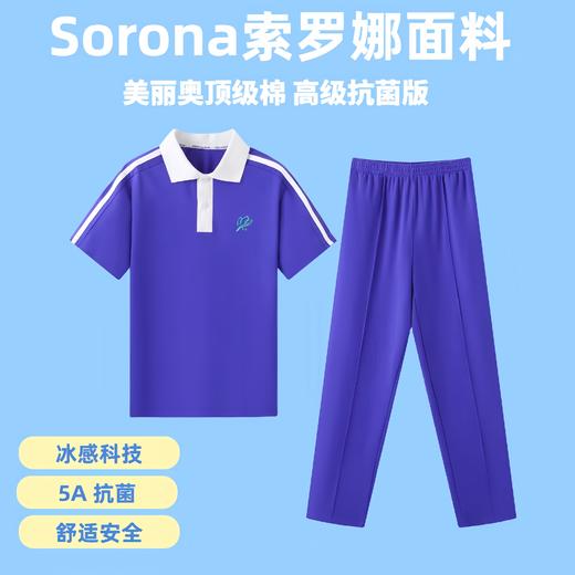 【高级抗菌版】索罗娜面料 深圳小学生校服夏装 商品图3