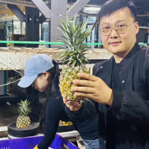 【72小时左右发货】海南自然熟金钻凤梨 4.5-5斤装 商品图1