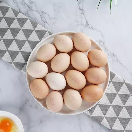 天晟牧园叶黄素鸡蛋 给眼睛一点不一样的爱护 商品图3