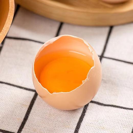 九华山散养土鸡蛋、生态农家散养、更新鲜、更好吃、更营养 商品图1