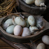生态鸭蛋（湖北） | 合作生产*Eco-duck egg | Coproduction 商品缩略图4