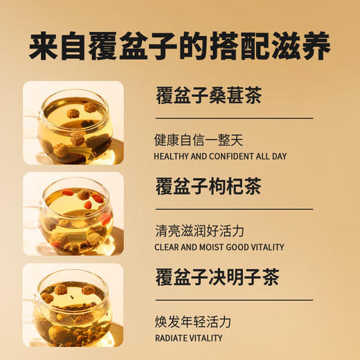 【正宗同仁堂品牌】北京同仁堂 覆盆子200克 泡茶泡酒 成熟饱满 干净少尘SY 商品图4