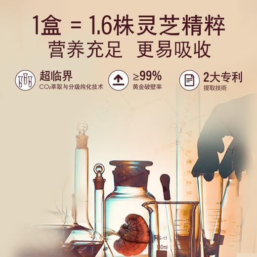 香港澳美制药灵芝黑咖啡无糖0脂鲜萃灵芝健身进口低卡咖啡速溶 商品图2