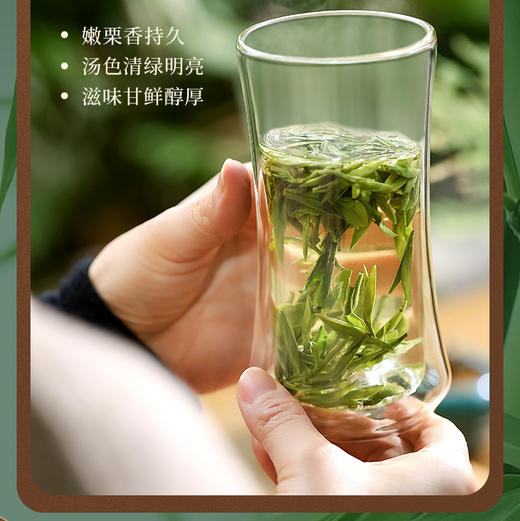 中茶绿茶 2024年 明前 春茶抢鲜系列  西湖龙井茶特级木盒250g茶叶 商品图3