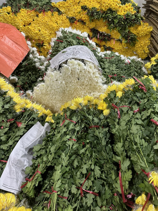 国产花材-【菊花】广州本地 商品图2